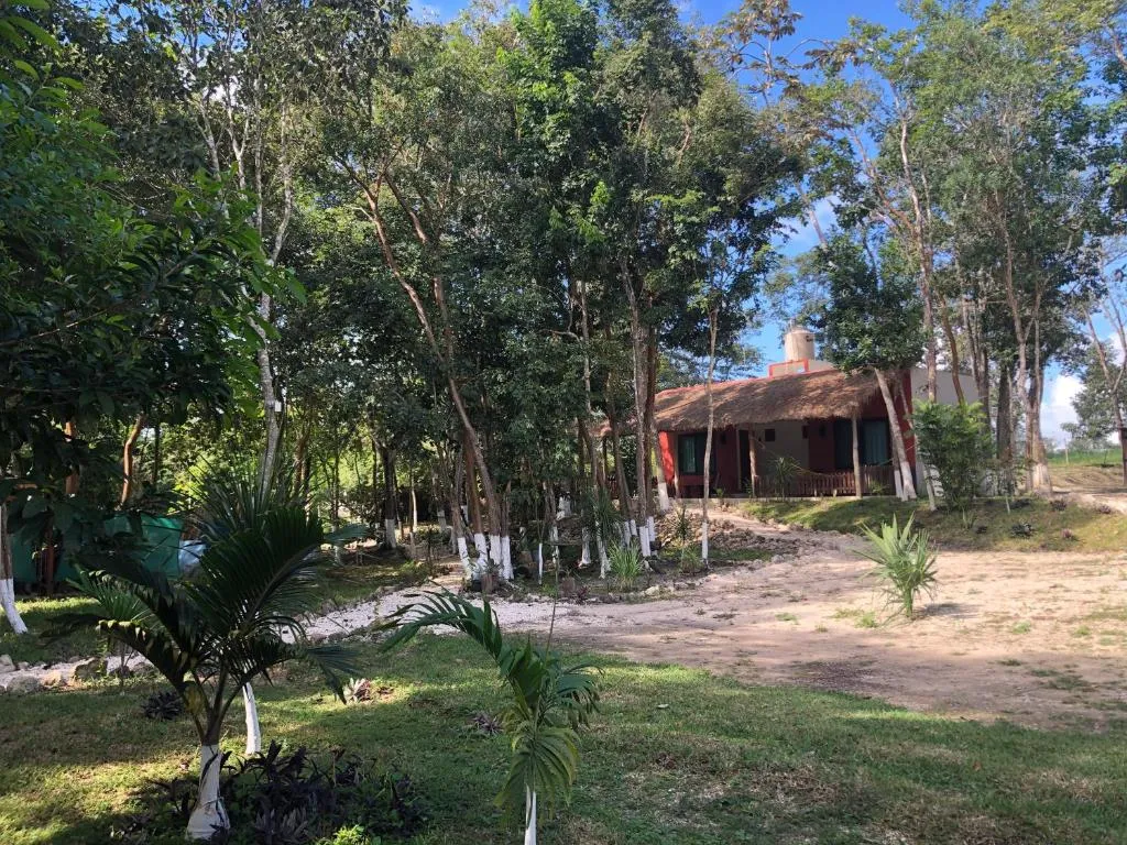 Senderos entre la selva